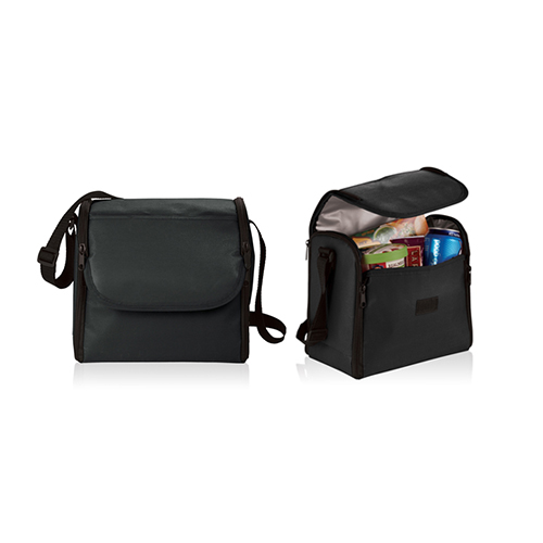 Non Woven Cooler Bag (B0081)