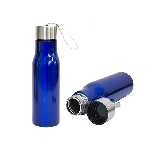 650ml Stainless Steel Bottle (LS0170)