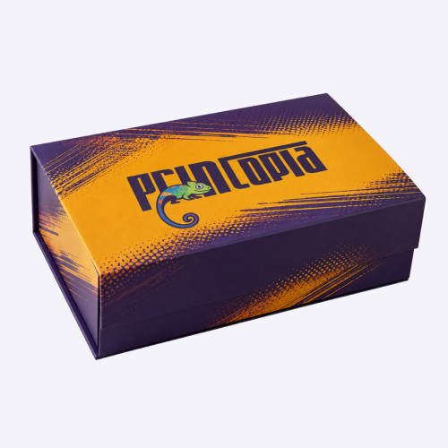 Custom Magnetic Foldable Gift Box Singapore | Bulk Corporate Gift Set Packaging | Premium Unboxing | Printopia