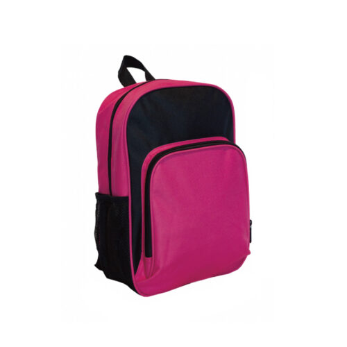 Fancy Two Tone Backpack (B0191)