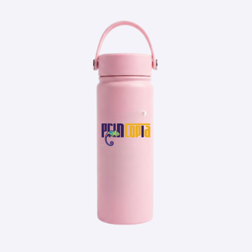 Customisable 500ml Stainless Steel Vacuum Bottle Singapore | Custom Water Bottle Supplier Singapore