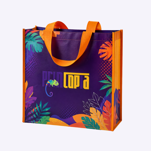Customised Full-Colour Non-Woven Bag | Bulk Event Bag Singapore | Custom Tote Bag Printing Supplier Singapore
