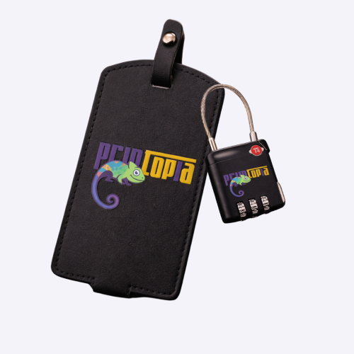 Customised Travel Security Set Singapore | TSA Locks Singapore